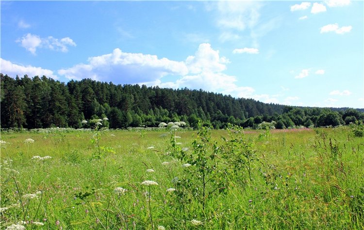 Путешествие Эли на красивый берег реки Волги