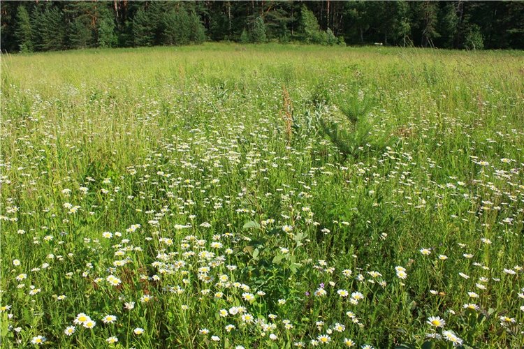 Путешествие Эли на красивый берег реки Волги