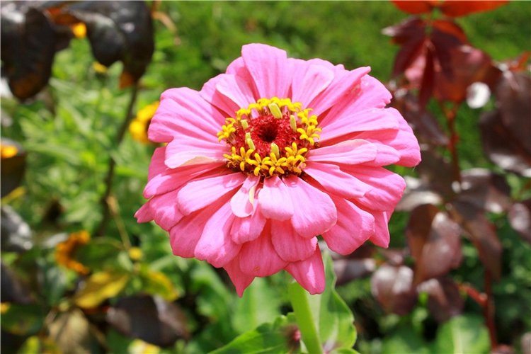 Сентябрьское путешествие в Старицу. Старицкий Свято-Успенский Монастырь