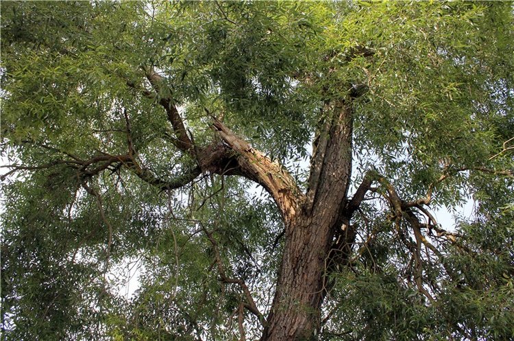 Сентябрьское путешествие в Старицу. Старицкий Свято-Успенский Монастырь