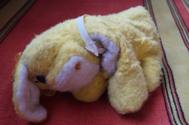 А по субботам у нас выписка! Ещё один Хрюша