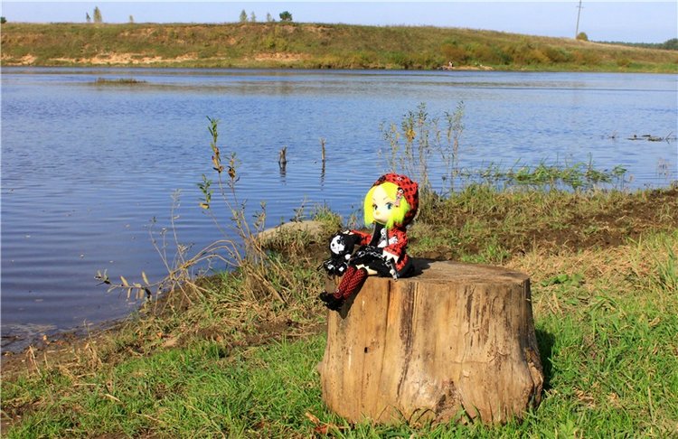 Dal Hangry на Волге — Куклы Pullip (Пуллип)