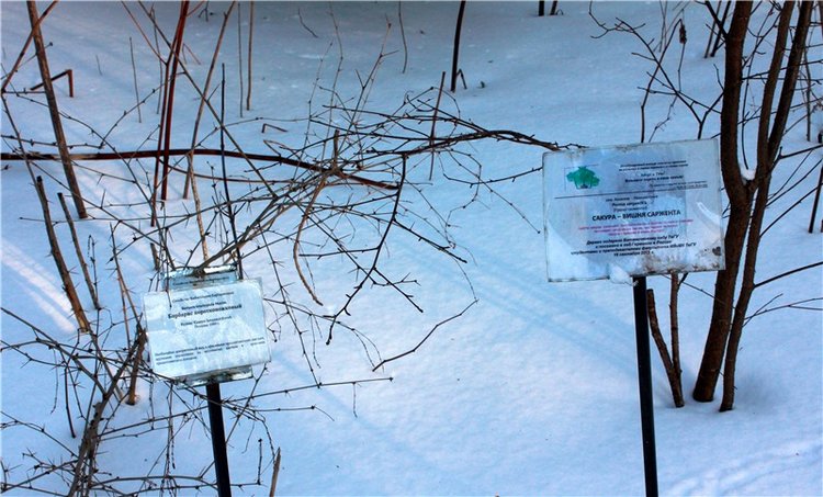 Тверской Ботанический Сад, заключительная часть