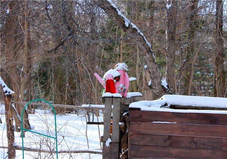 Тверской Ботанический Сад, заключительная часть