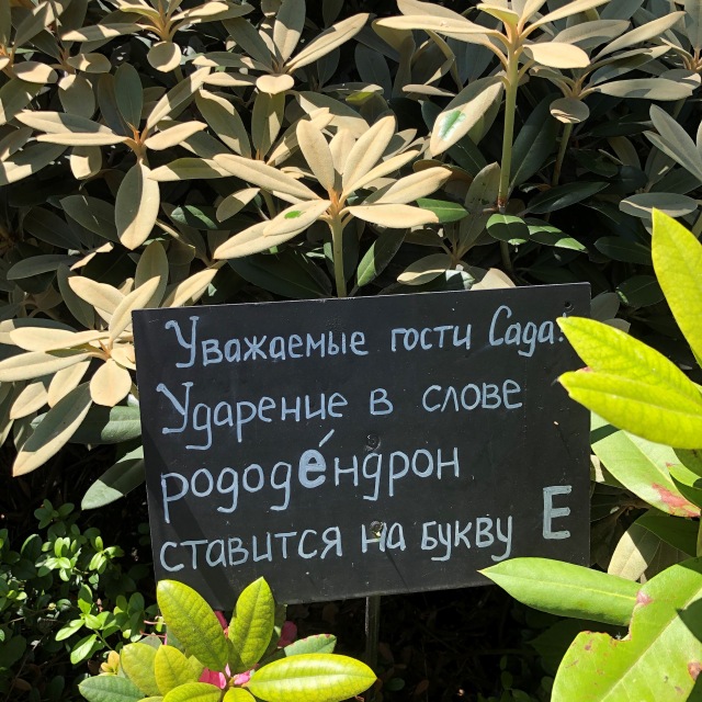 Тони Старк: приключения без брони. И снова Аптекарский огород | Бэйбики Тони Старк: приключения без брони. И снова Аптекарский огород