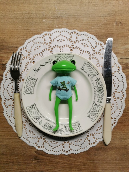 Лягушка Ванда и все-все-все