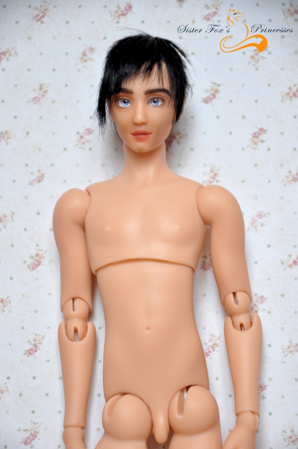 Шарнирные куколки SisterFox
