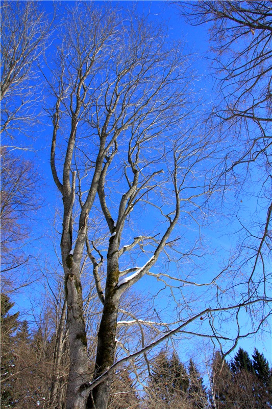 Снежный Март — Туризм и путешествия: фотоотчеты из поездок