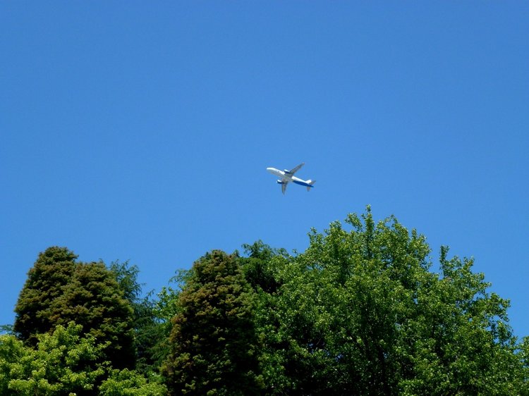 Краснодарский Край, Сочи-Адлер, Санаторий «Южное Взморье»