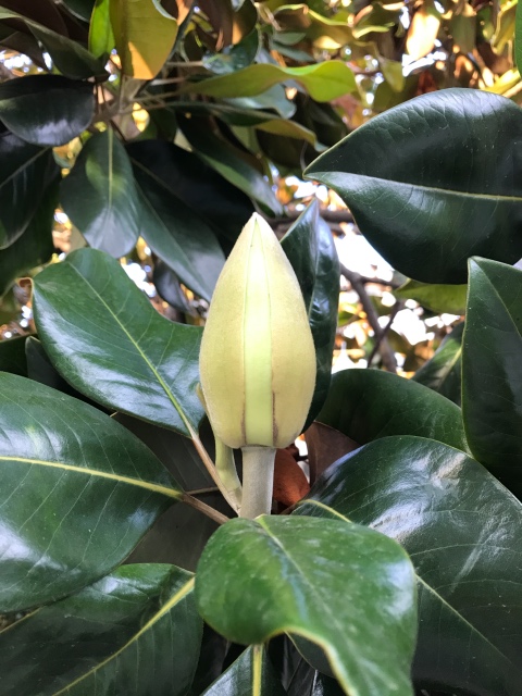 Таша Wonderfrog в Черногории