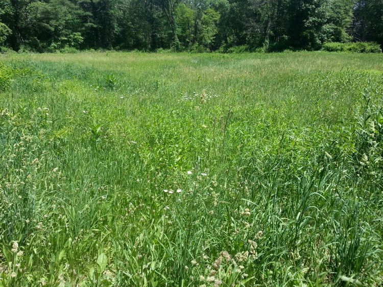 Прокатимся на машине времени? Поселение Старбридж. Новая Англия. 1830 год. Часть вторая