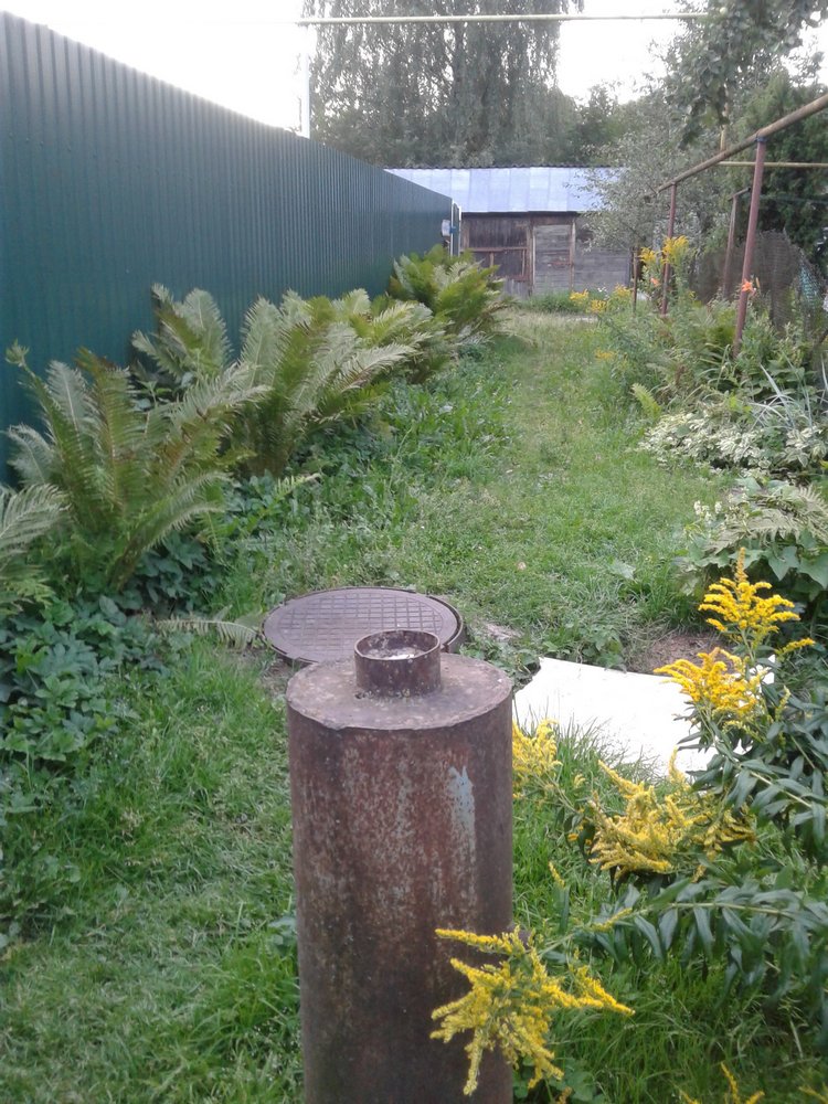 Просто Макс — Кукольные фотоистории и сериалы: комиксы (фото 5)