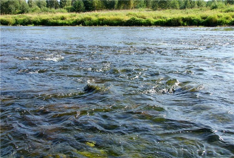 Инопланетянка Нийя. Custom Blythe Doll UFO Go Go Takara