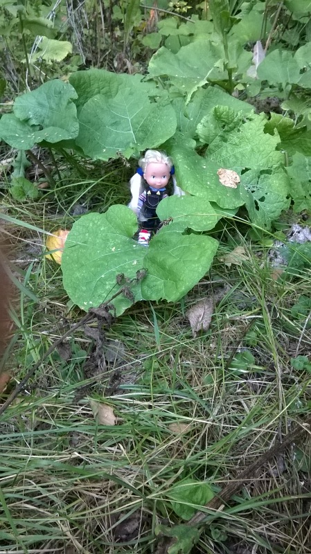 Девчонка по имени Женька-подарок форумчанки Анечки