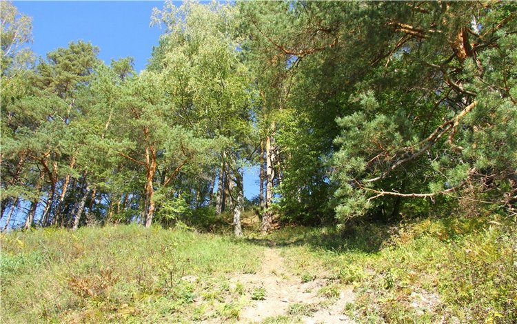 Старицкая Швейцария. Старицкие пещеры, д. Толпино, заключительная часть