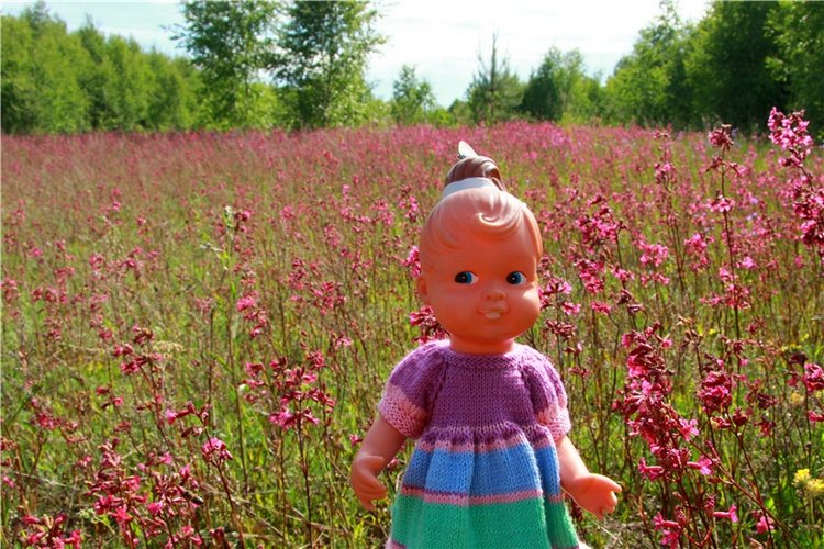 Встреча с бабочкой — Винтажные куклы ГДР (Немки): Бигги