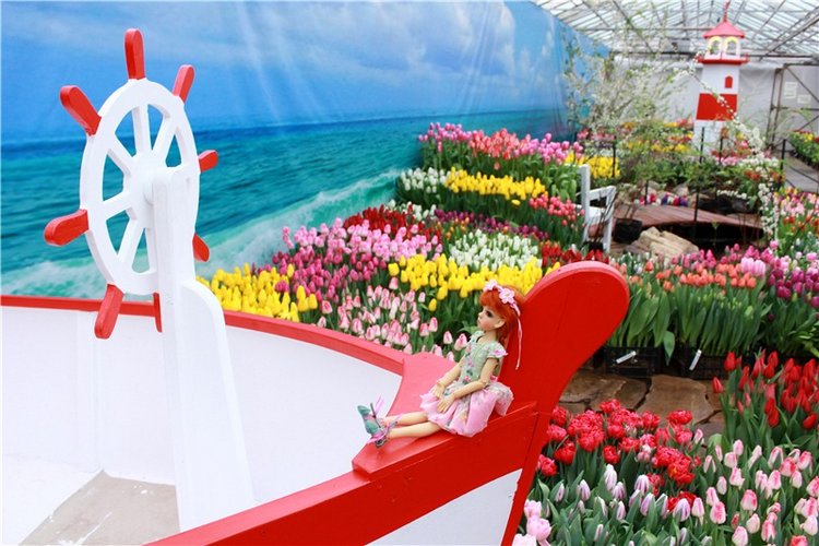 Тюльпановый Рай, продолжение. Выставка тюльпанов в Твери. Mini Layla elf Sunkissed skin от Kaye Wiggs