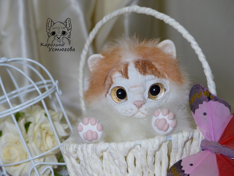 Обыкновенный котенок и его день (фото 4)