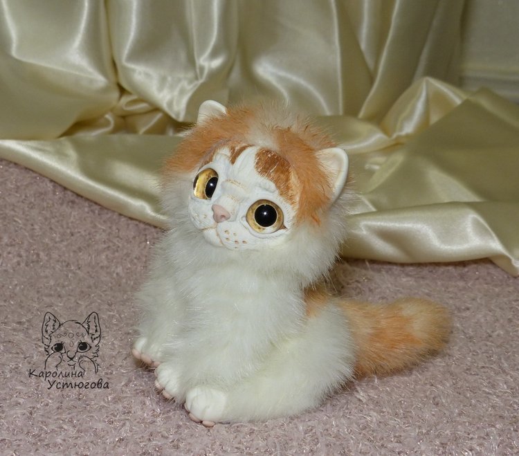 Обыкновенный котенок и его день