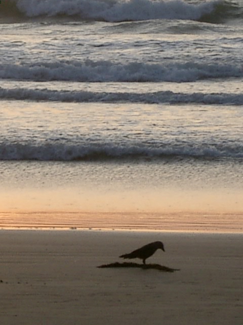 Сказочная Индия — Туризм и путешествия: фотоотчеты из поездок