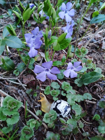 Что такое гасяпон — Домашние фото авторских игрушек: Тедди