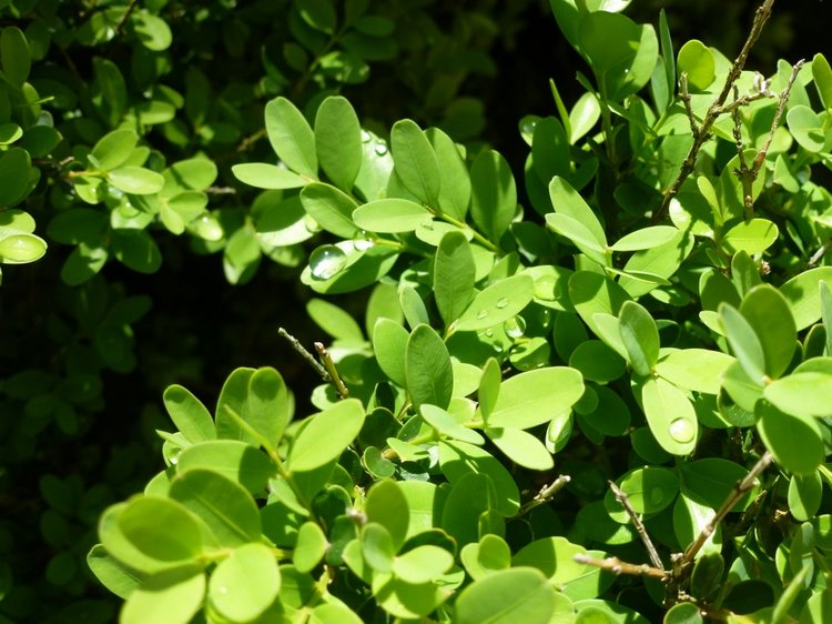 Сочи-Адлер: Южное Взморье - виртуальное путешествие по территории санатория