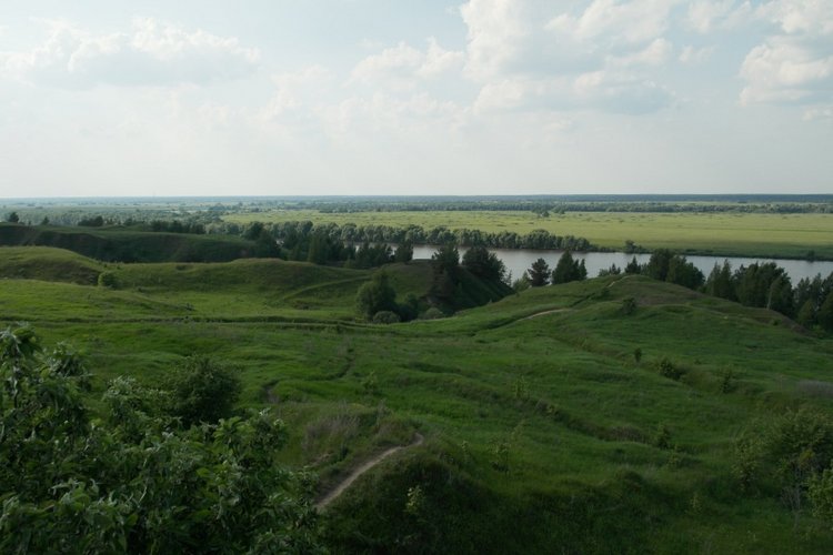 Есенинские тропинки — Куклы Kidz'n'Cats (Соня Хартман): шарнирные 46 см (фото 5)