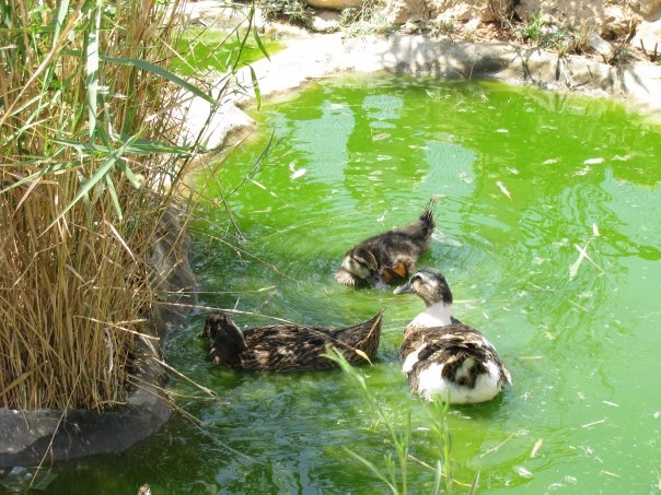 Путешествие на о. Кипр — Туризм и путешествия: фотоотчеты из поездок