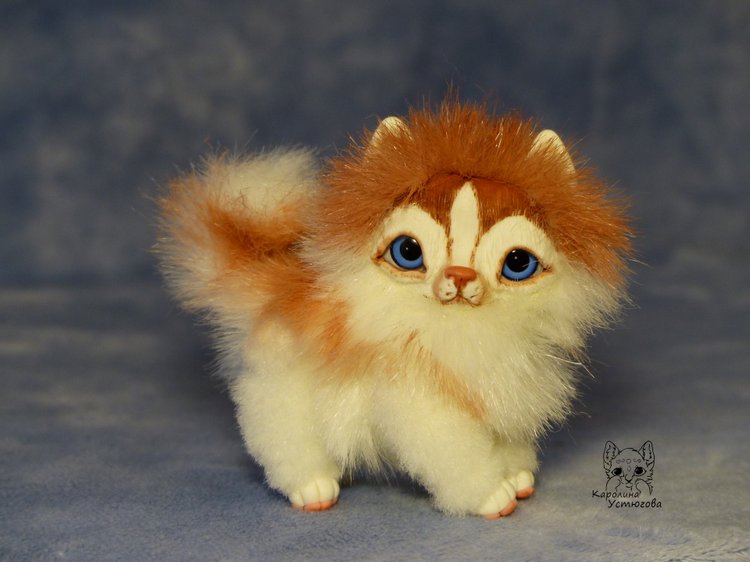 Щенок Хаски, миниатюра. Медный Окрас (фото 6)