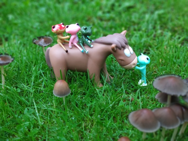 Лето с лягушками — Коллекционные куклы разных авторов (Разное): редкие бренды