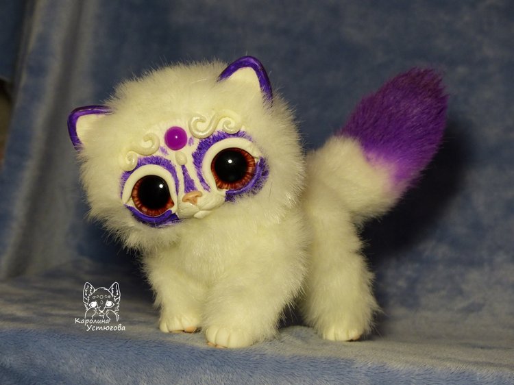 Королевские волшебные коты, породы: Мирис. В кадре и за кадром. Процесс