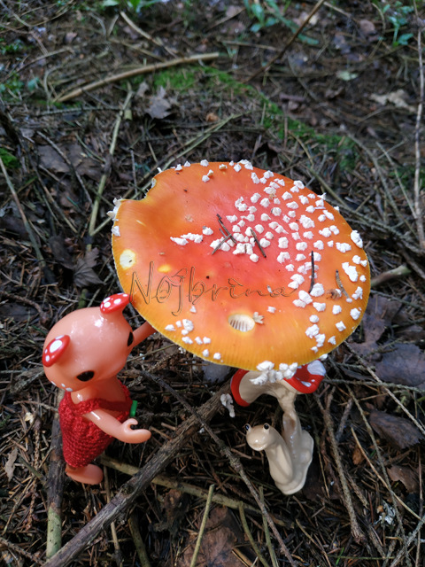 Wonderfrog. Красота в простоте. Часть 2