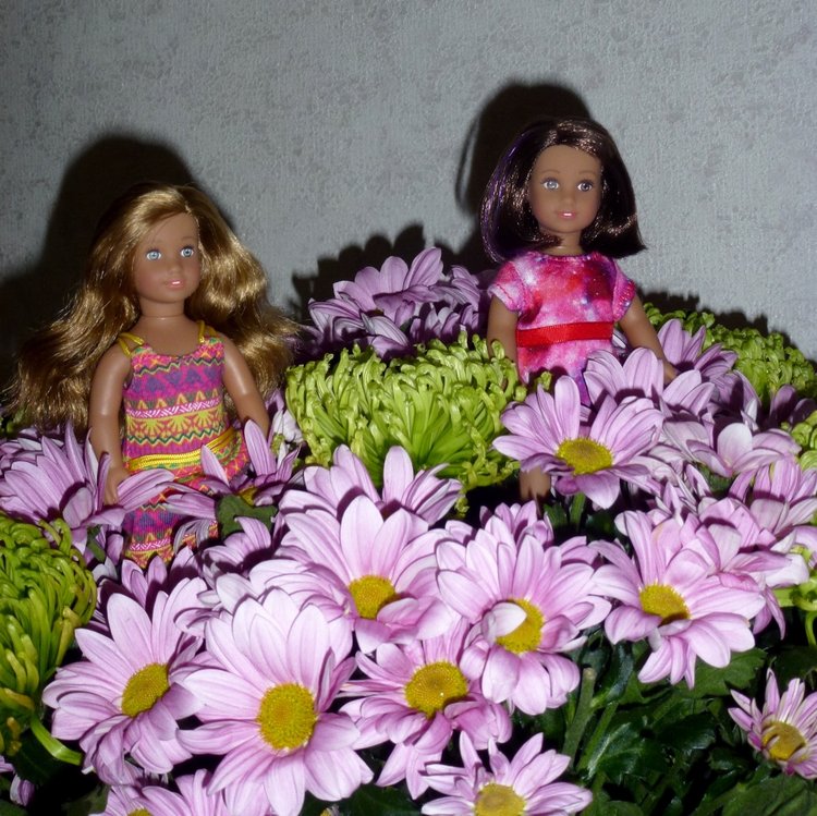 Моя новая девочка Лусиана (Luciana) от mini american girl (фото 8)