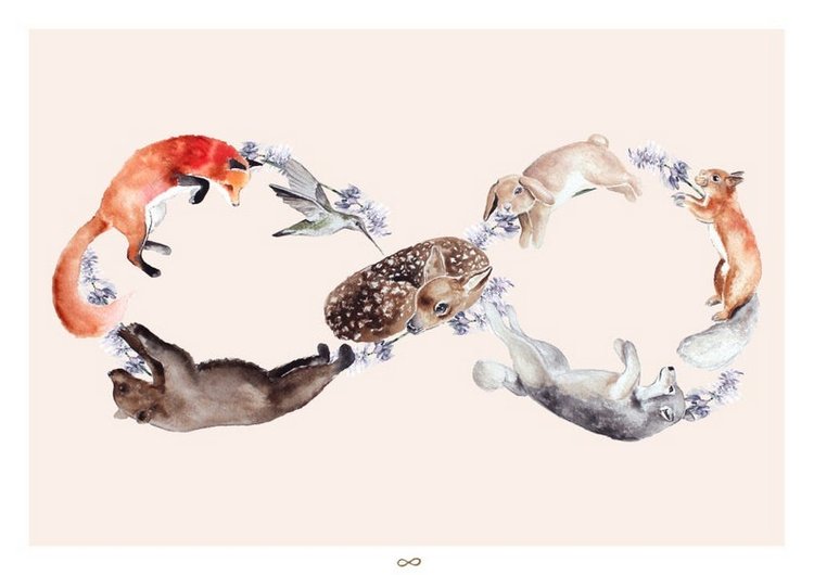 BrigitteMayArt - Иллюстрированная флора и фауна by Brigitte May