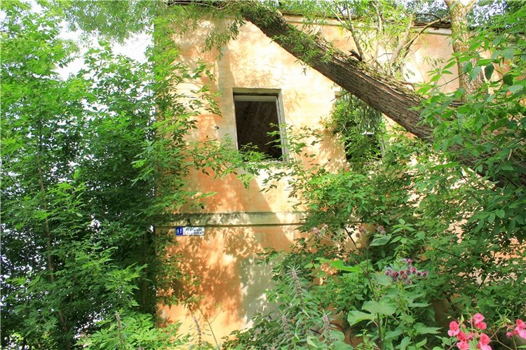 Июльское путешествие в Старицу, продолжение