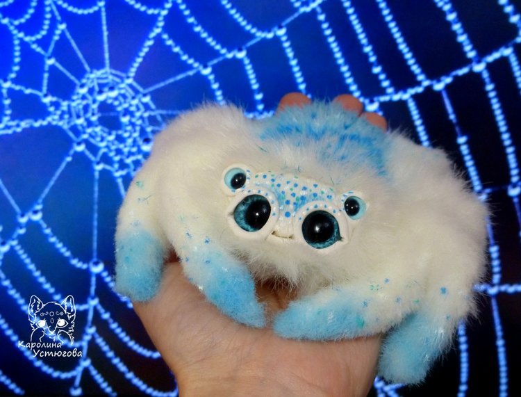 Паучок художник и его история