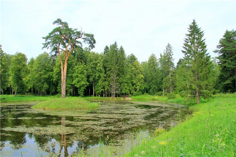 Путешествие Виолы в Усадьбу Знаменское-Раёк
