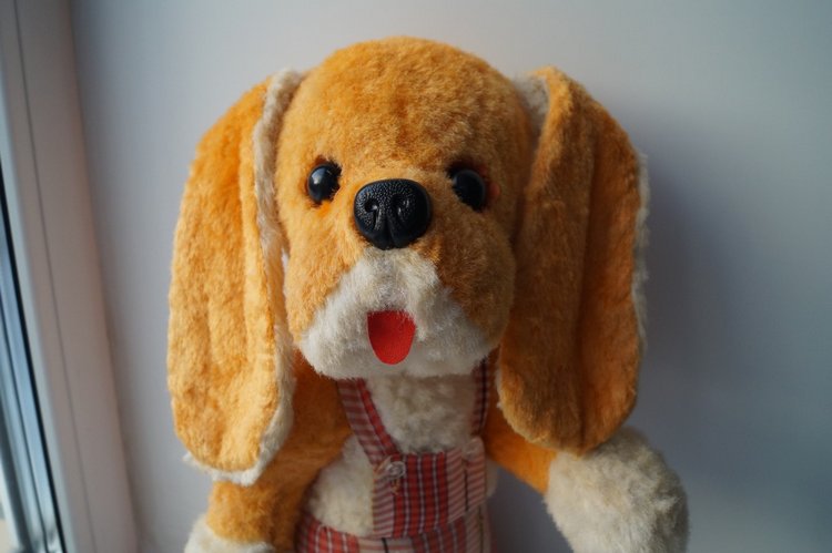 Кукольная лечебница открывает двери! Выписка здоровых кукол