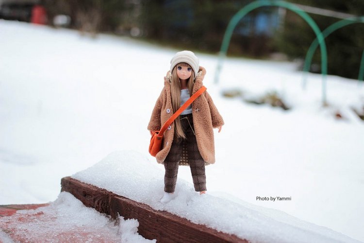 Новогодние каникулы в деревне (фото 9)