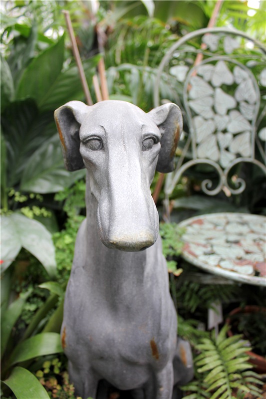 Тверской Ботанический Сад, продолжение | Бэйбики Тверской Ботанический Сад, продолжение