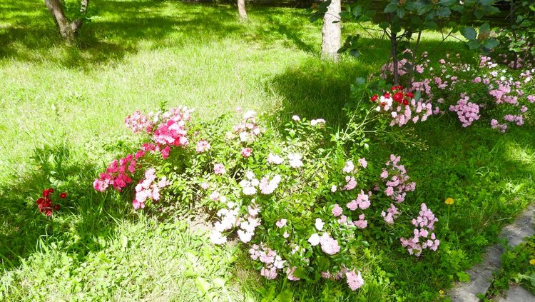 Краснодарский Край, Сочи-Адлер, Санаторий «Южное Взморье»