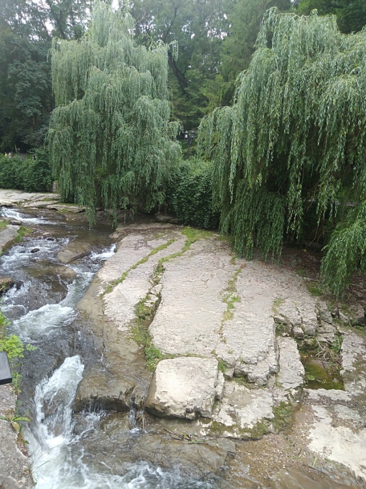 Возвращение Хелены в Кисловодск: опять за своё (фото 3)