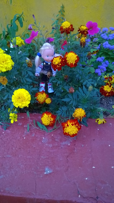 Девчонка по имени Женька-подарок форумчанки Анечки