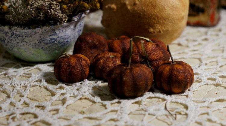 Осенний вечер, продолжение