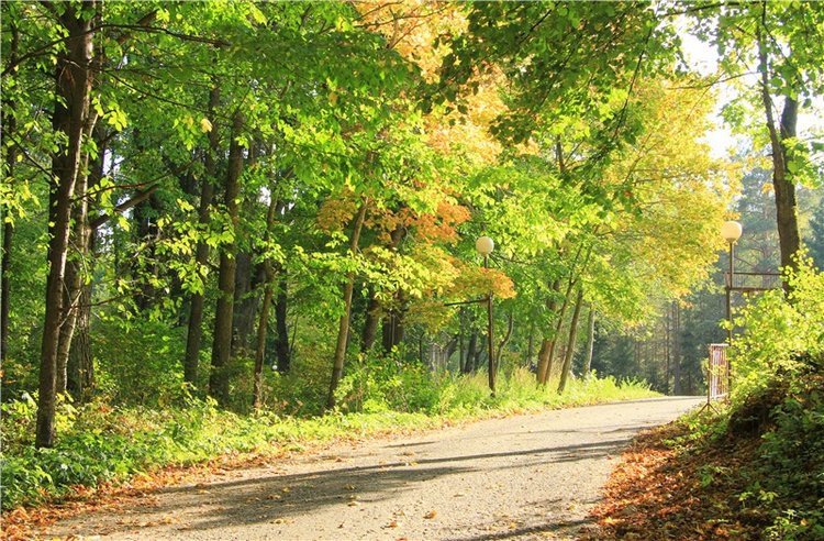 Нийя. Воспоминание об осени, Чукавино, Эко-Лэнд