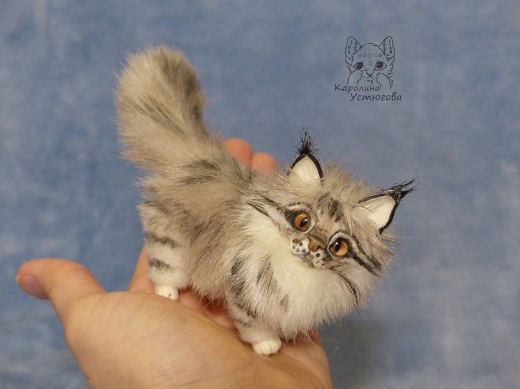 Мейн-ку́н, миниатюра. Серебристый окрас