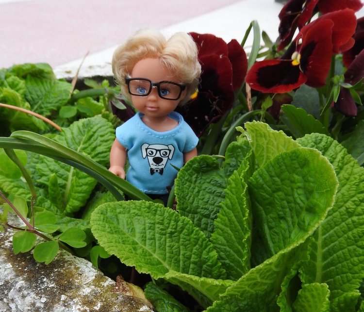 Сочи-Адлер: Южное Взморье - Мои любимые куколки на отдыхе