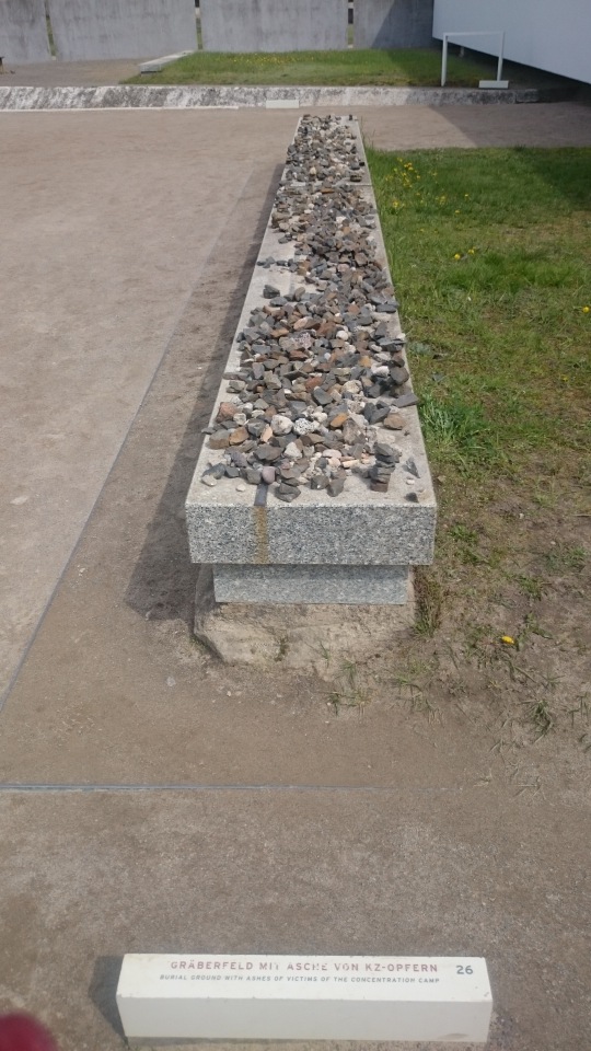 Спасибо Вам за смелость и отвагу, за небо мирное над головой