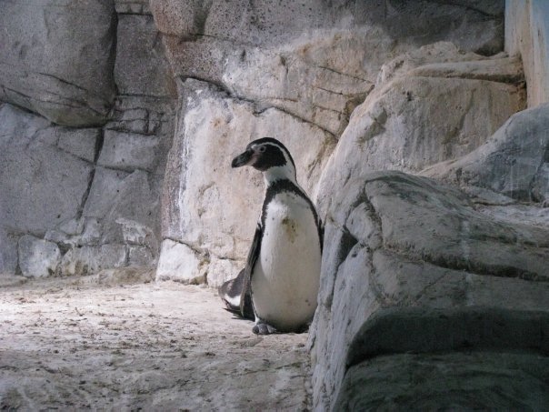 Путешествие на о. Кипр — Туризм и путешествия: фотоотчеты из поездок