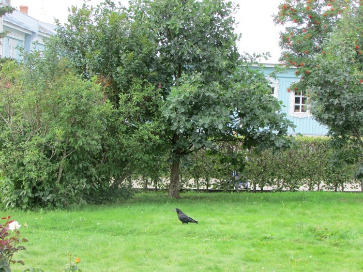 Путешествие в Нижегородскую область - часть 1 - Дивеево (Дивеевский монастырь)